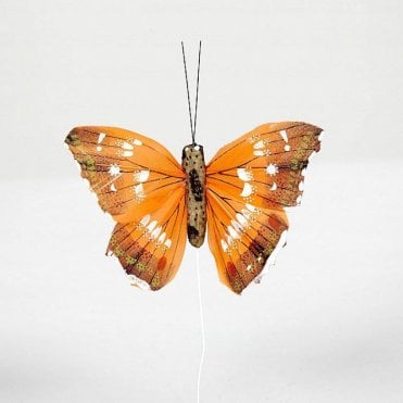 07 Pattern Butterflies Orange - Pack of 12