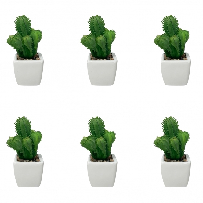 Cactus Plant With Flower Pot Pack of 6 HM85905