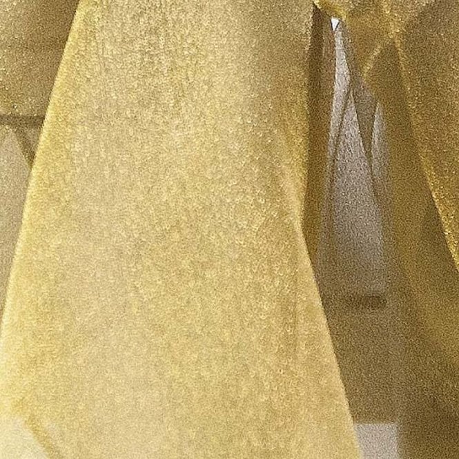 Organza Fabric Black/Victoria Gold