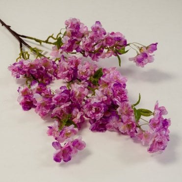Cherry Blossom HM82207 - Purple
