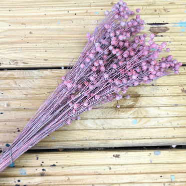 Dried Lino Vlas Pink Bunch 150G
