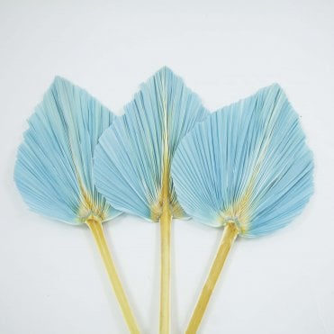 Dried Palm Leaf Blue Pack of 12 65cm