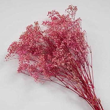 Dried Preserved Babybreath 100G Bunch Watermelon