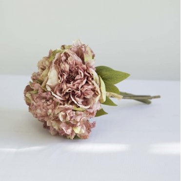 Dried Touch Open Peony Dusty Pink