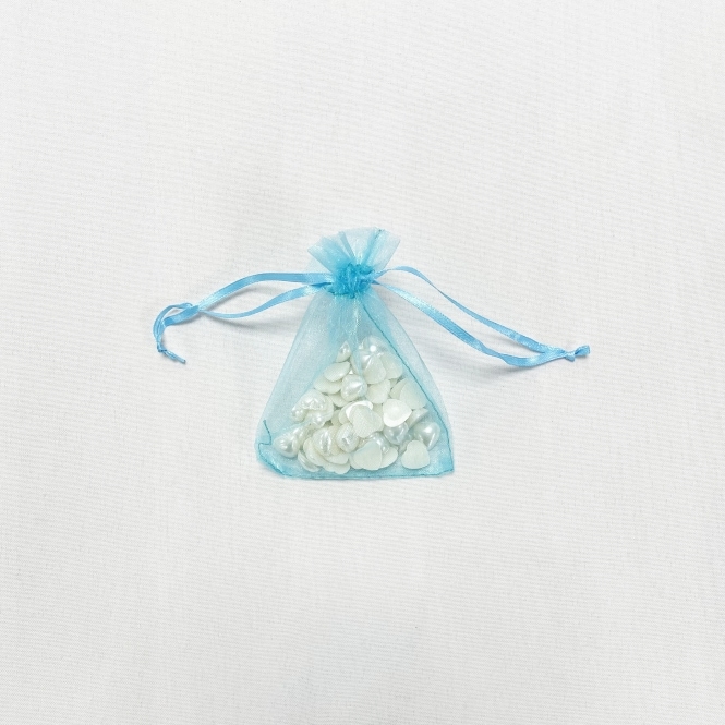 Essential Sheer Organza favour Bags Turquoise 9x12cm - Pack of 100
