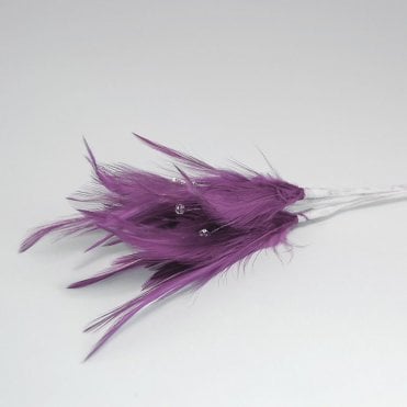 Feathers With Diamantes Aubergine