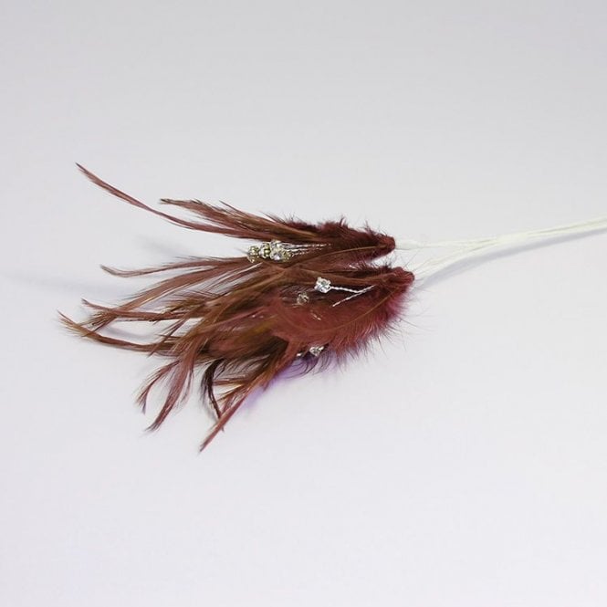 Feathers With Diamantes Brown