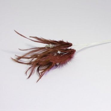 Feathers With Diamantes Brown
