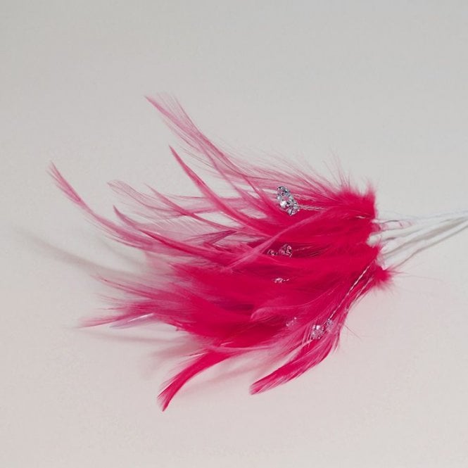 Feathers With Diamantes Fuchsia
