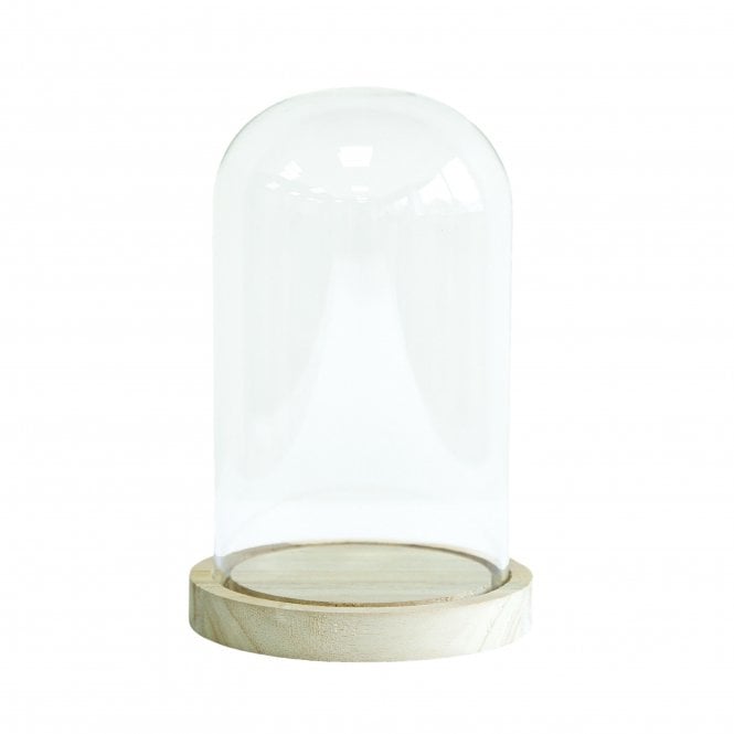 Glass Bell Jar LED 21.5cm 29494