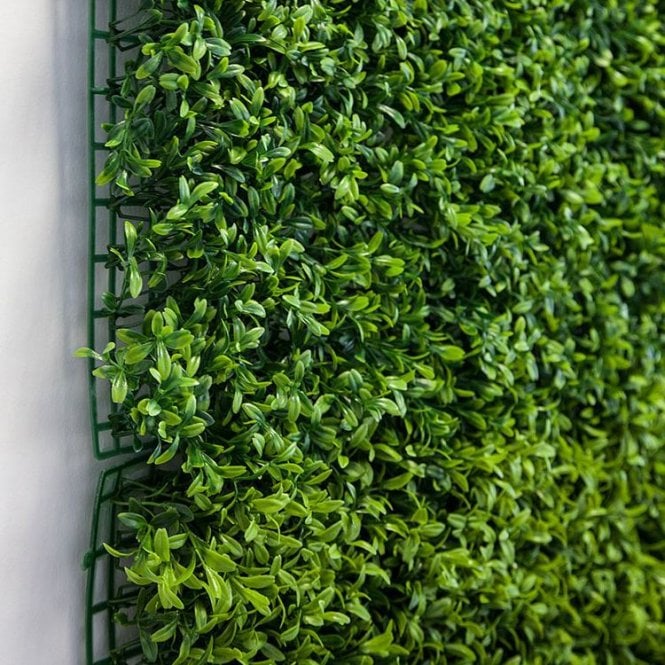 Green Hedge Wall Panel 50cm X 50cm