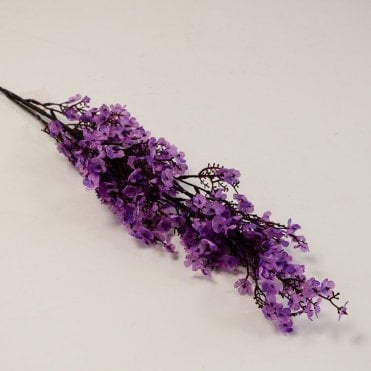 Gypsophilia Babysbreath HM87601 - Purple