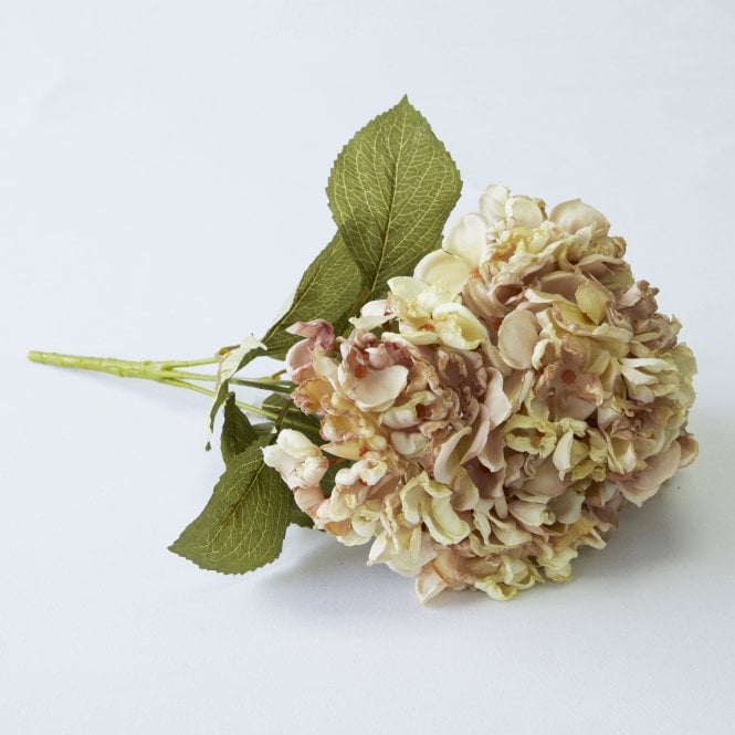 Hydrangea Bunch Pink/Ivory