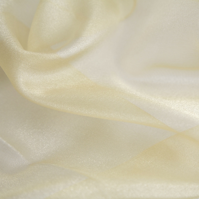 Organza Fabric Champagne