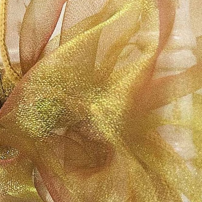 Organza Fabric Gold/Garnet
