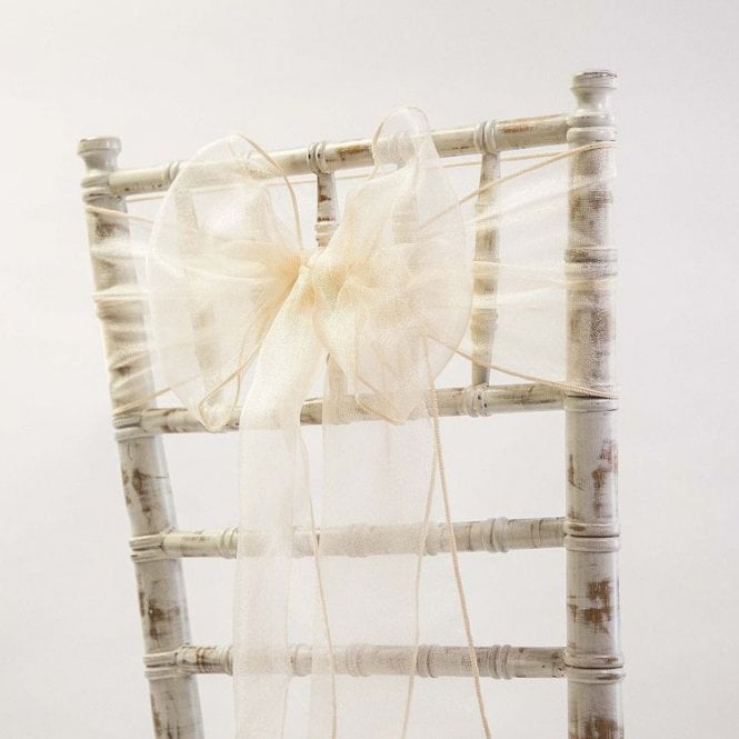 Organza Sash Champagne 20 X 275