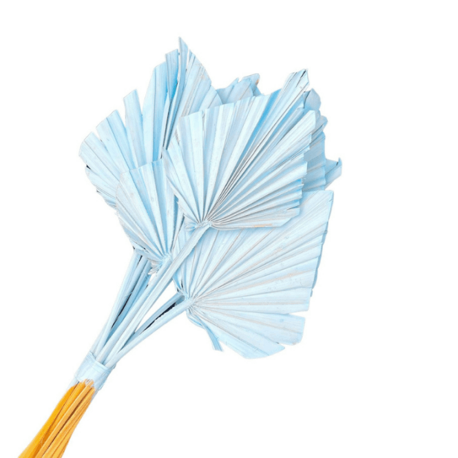 Palm Spears 10pc Light Blue