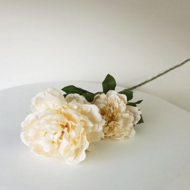 Peony 02 Head Stem Light Champagne Hm43