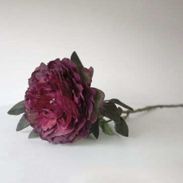 Peony Pongee 02 Head 90cm HM80617 Burgundy