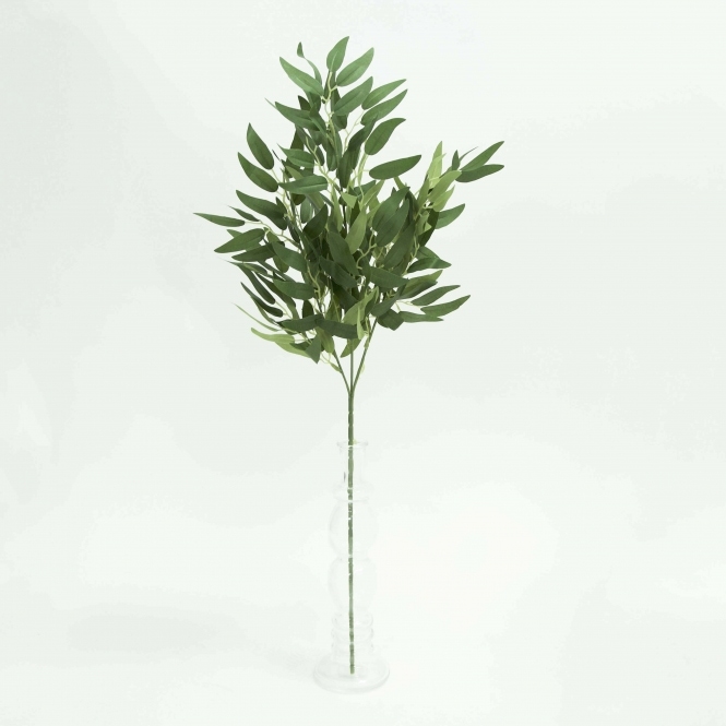 Ruscus Bunch Green 70cm