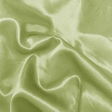 CHAIRCOVER DEPOT Satin Fabric Sage