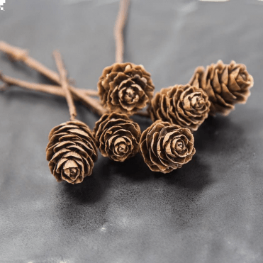 DÉCOR TRADER Xmas Cones With Stem 06 Pack